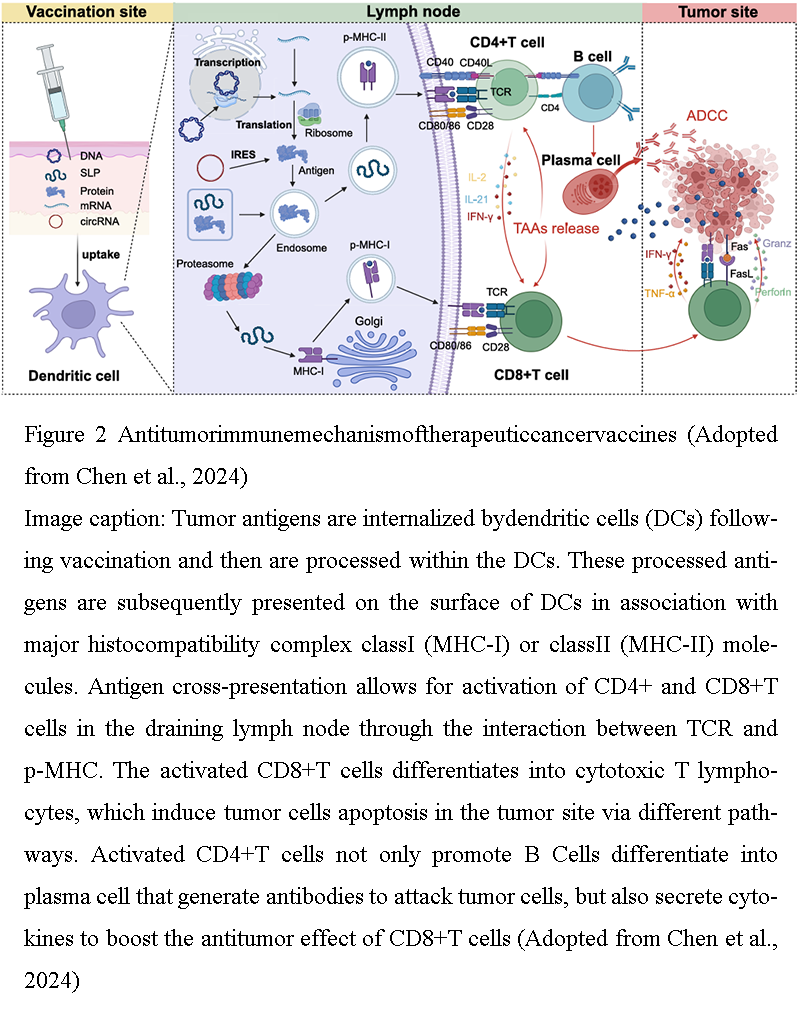 Therapeutic Vaccines for Non-Small Cell Lung Cancer: Current Progress ...