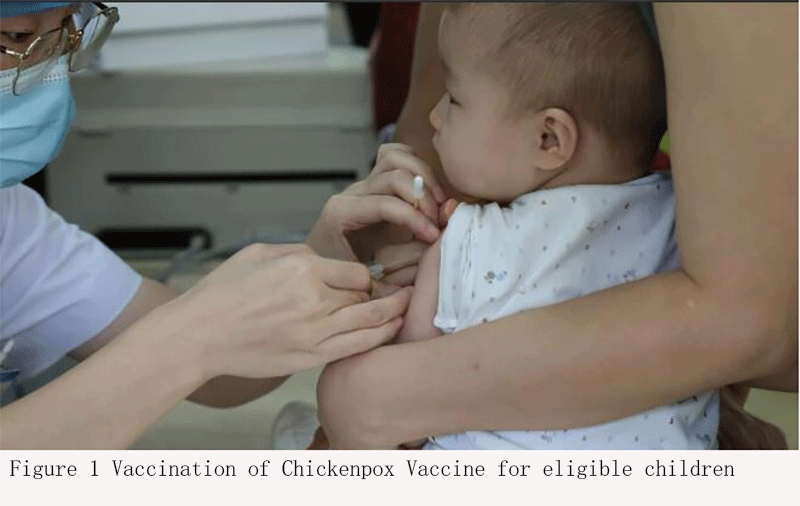 Analysis Of Improvements To The Chickenpox Vaccine And The Development   F1B 